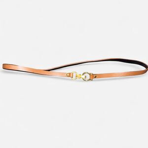 Skinny Brown Dress Belt with Gold Hook Clasp